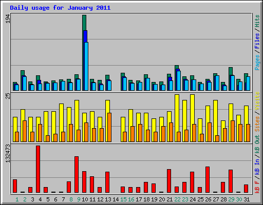 Daily usage for January 2011