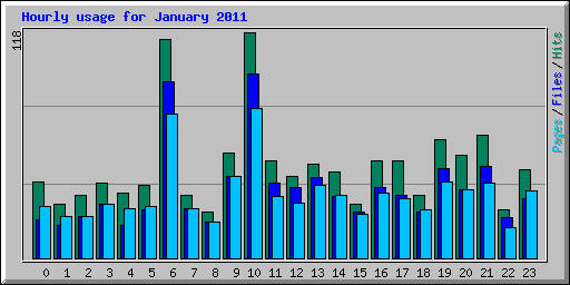 Hourly usage for January 2011